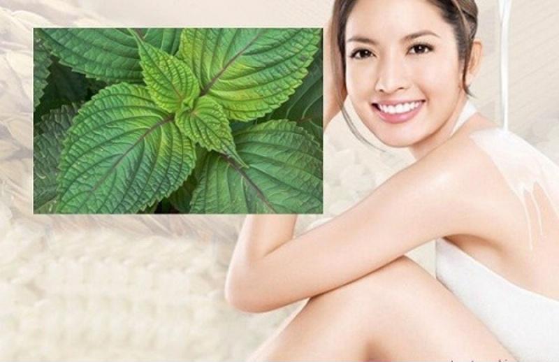 Tác dụng của lá tía tô làm đẹp 